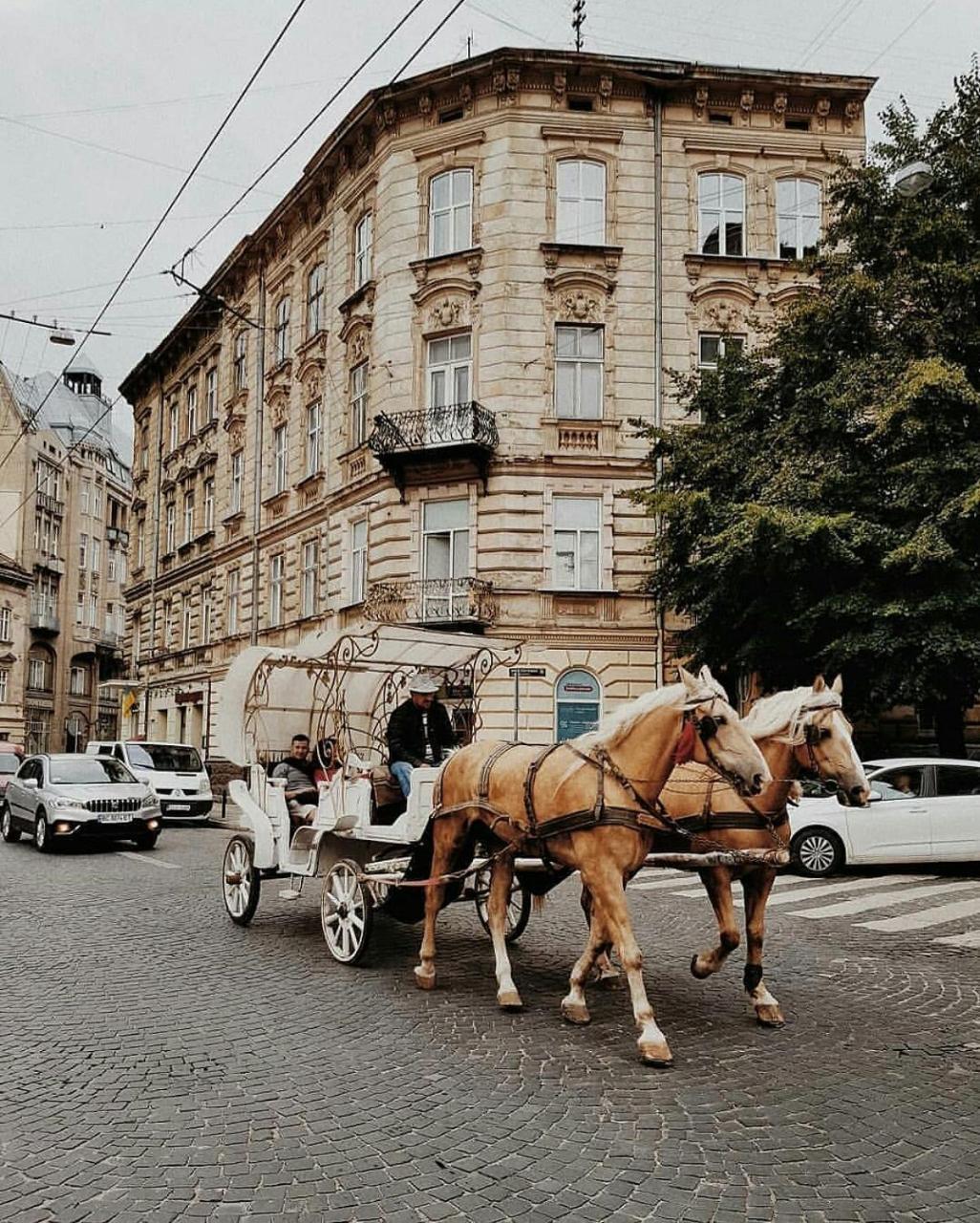 Green Apartment Львов Экстерьер фото